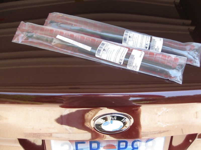 Trunk Strut Replacement